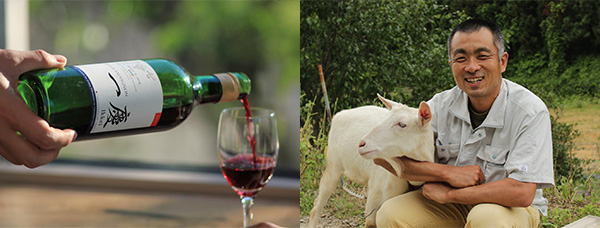 Life with dream wine in rural Japan