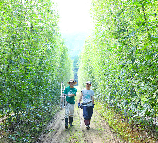 a journey to find the unknown gourmet world of Tohoku 