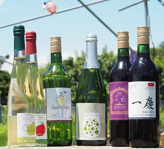 a journey to find the unknown gourmet world of Tohoku