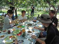 Lunch under the trees in a pear orchid