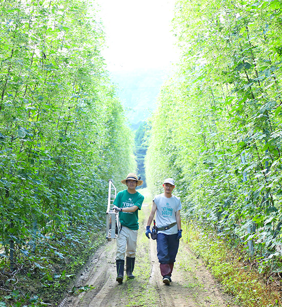 Home of Japanese beer, Tono beer tourism