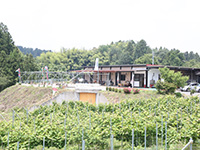 Fukushima Farmers' Dream Wine