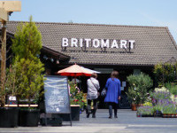 Miharu Britomart