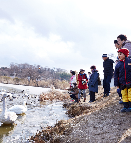 Visit and experience the preparations of Doburoku (unrefined sake), ”fermentation” culture of Izunuma