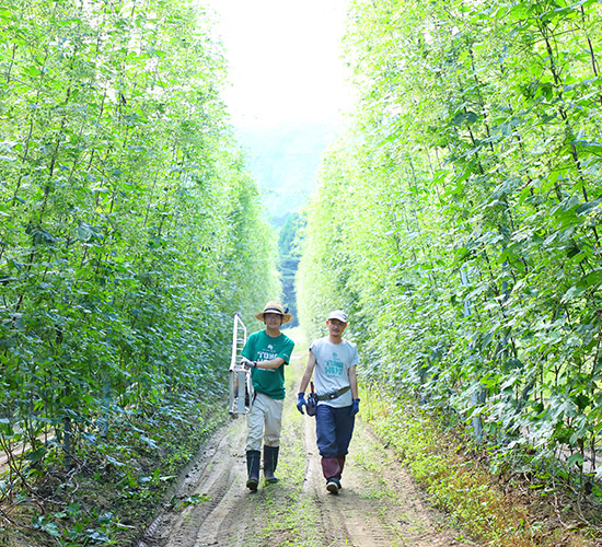 東北の未知のおいしさに出会う旅