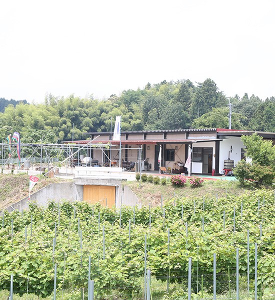 日本の田舎で夢ワインのある暮らし