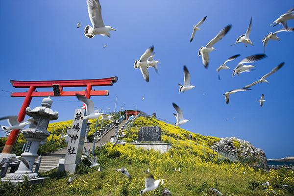 種差神社