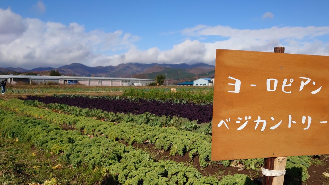 鈴木農場の畑と看板