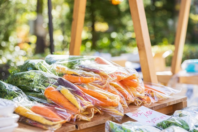 色とりどりの新鮮お野菜